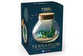 Kit Fimo Terrarium - Cultura